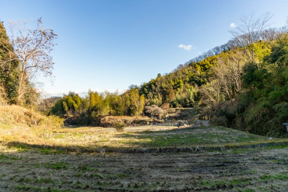 穂谷の里山